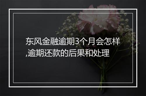 东风金融逾期3个月会怎样,逾期还款的后果和处理