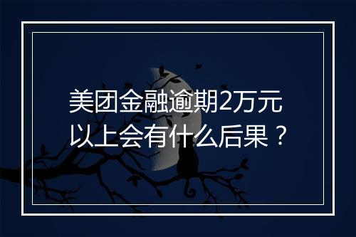 美团金融逾期2万元以上会有什么后果？