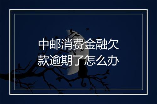 中邮消费金融欠款逾期了怎么办