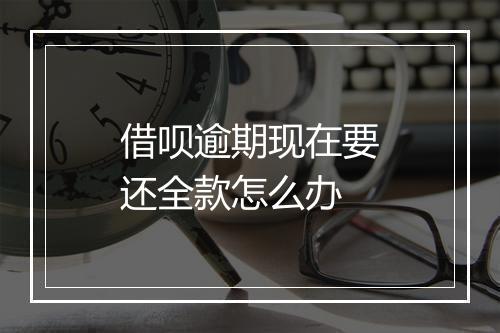 借呗逾期现在要还全款怎么办