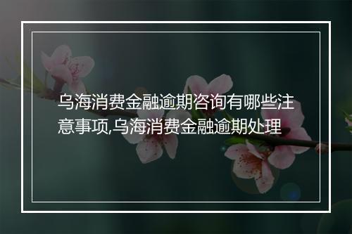 乌海消费金融逾期咨询有哪些注意事项,乌海消费金融逾期处理