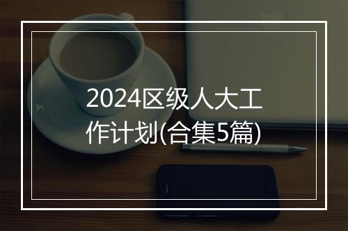 2024区级人大工作计划(合集5篇)