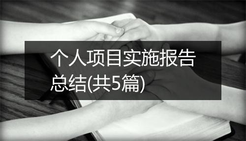 个人项目实施报告总结(共5篇)