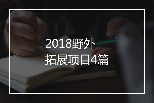 2018野外拓展项目4篇