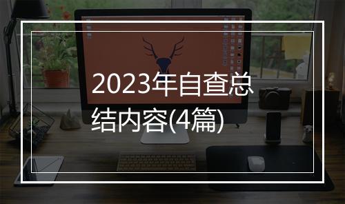 2023年自查总结内容(4篇)