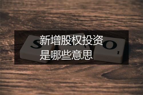 新增股权投资是哪些意思