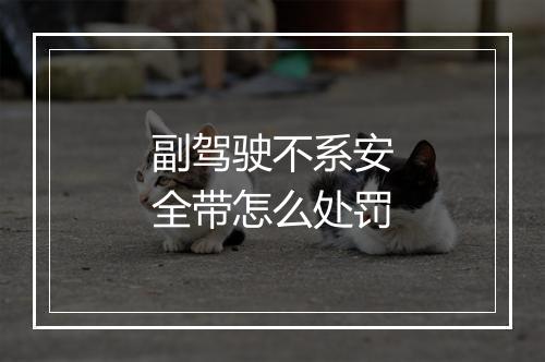 副驾驶不系安全带怎么处罚