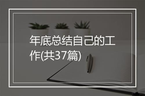 年底总结自己的工作(共37篇)