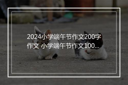 2024小学端午节作文200字作文 小学端午节作文100字甄选通用版10篇