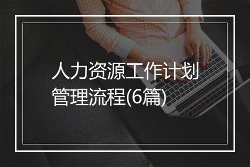 人力资源工作计划管理流程(6篇)