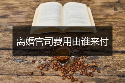 离婚官司费用由谁来付