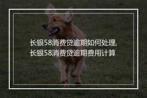 长银58消费贷逾期如何处理,长银58消费贷逾期费用计算