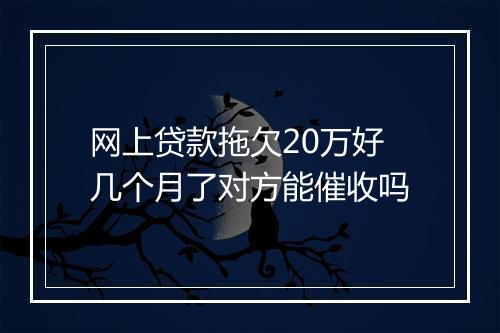 网上贷款拖欠20万好几个月了对方能催收吗