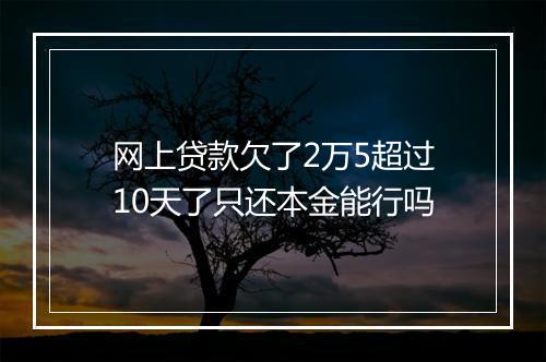 网上贷款欠了2万5超过10天了只还本金能行吗
