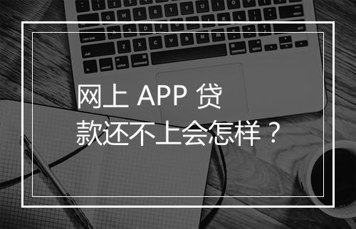 网上 APP 贷款还不上会怎样？