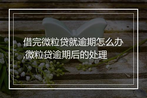 借完微粒贷就逾期怎么办,微粒贷逾期后的处理