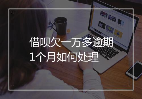 借呗欠一万多逾期1个月如何处理