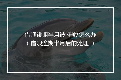 借呗逾期半月被 催收怎么办（借呗逾期半月后的处理 ）