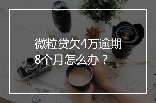 微粒贷欠4万逾期8个月怎么办？