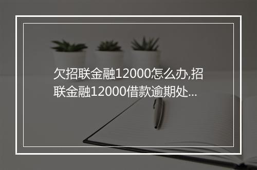 欠招联金融12000怎么办,招联金融12000借款逾期处理