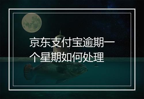 京东支付宝逾期一个星期如何处理