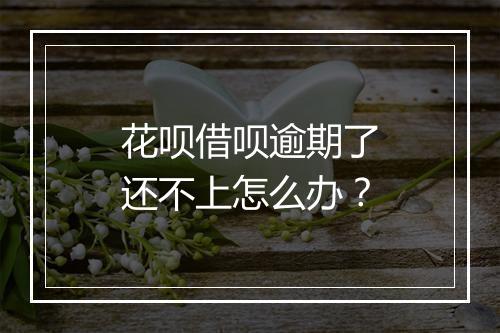 花呗借呗逾期了还不上怎么办？