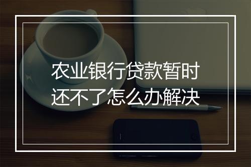 农业银行贷款暂时还不了怎么办解决