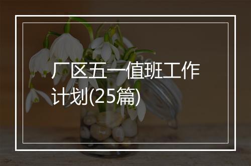 厂区五一值班工作计划(25篇)