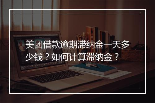 美团借款逾期滞纳金一天多少钱？如何计算滞纳金？