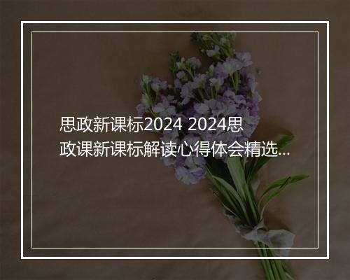 思政新课标2024 2024思政课新课标解读心得体会精选5篇