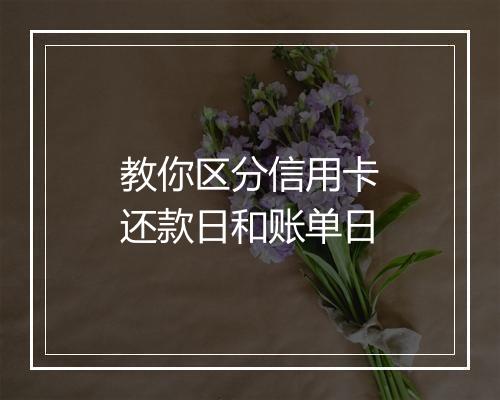 教你区分信用卡还款日和账单日