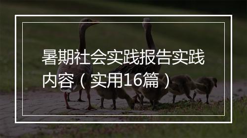暑期社会实践报告实践内容（实用16篇）