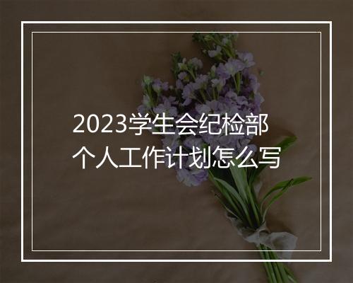 2023学生会纪检部个人工作计划怎么写
