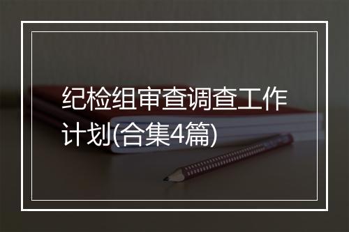 纪检组审查调查工作计划(合集4篇)
