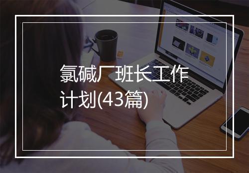 氯碱厂班长工作计划(43篇)