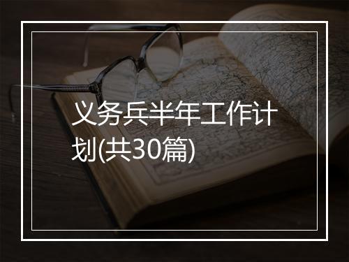 义务兵半年工作计划(共30篇)