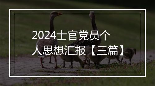 2024士官党员个人思想汇报【三篇】
