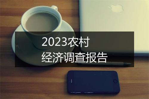 2023农村经济调查报告