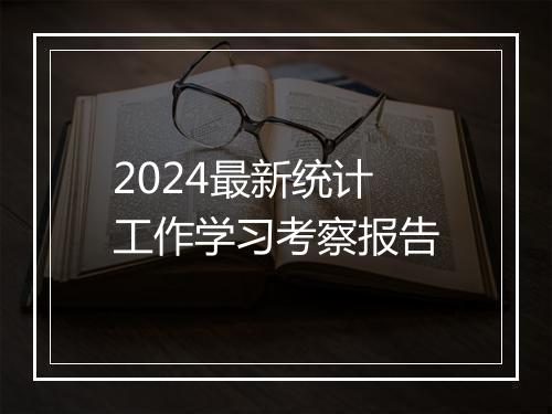 2024最新统计工作学习考察报告