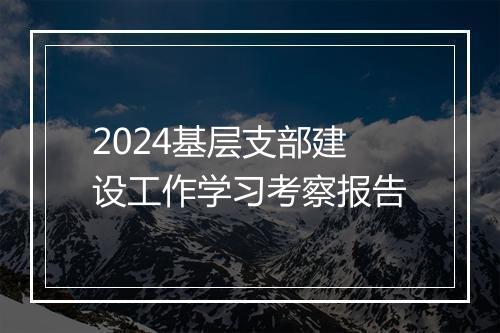 2024基层支部建设工作学习考察报告