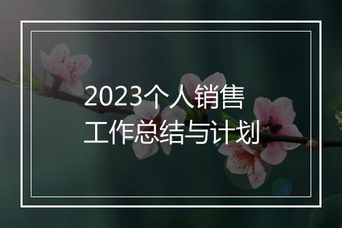 2023个人销售工作总结与计划