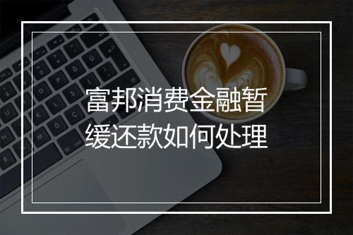 富邦消费金融暂缓还款如何处理