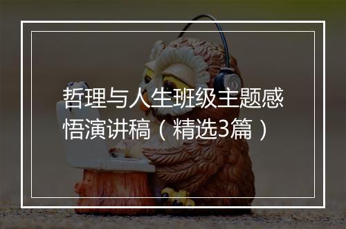 哲理与人生班级主题感悟演讲稿（精选3篇）