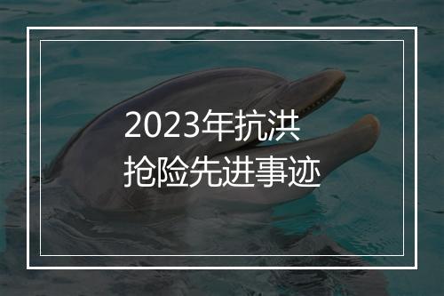 2023年抗洪抢险先进事迹