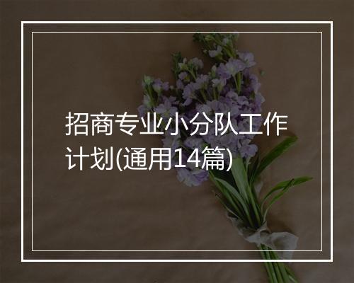招商专业小分队工作计划(通用14篇)