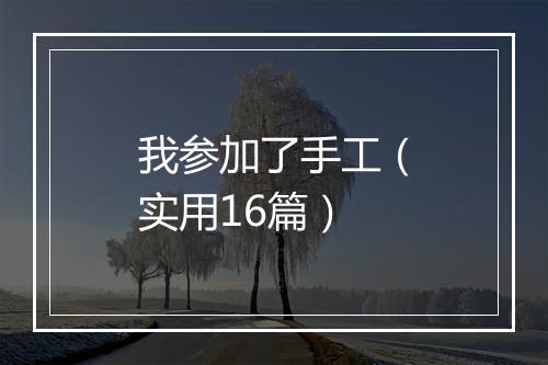 我参加了手工（实用16篇）