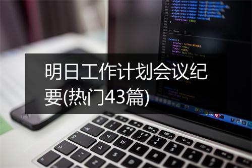 明日工作计划会议纪要(热门43篇)
