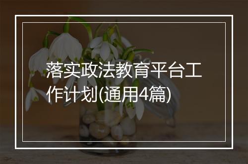 落实政法教育平台工作计划(通用4篇)