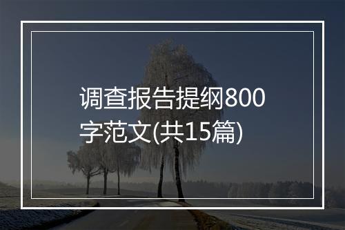 调查报告提纲800字范文(共15篇)