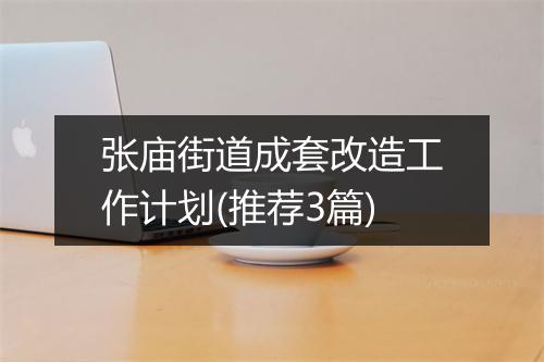 张庙街道成套改造工作计划(推荐3篇)